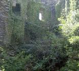 Hopton Castle Gallery